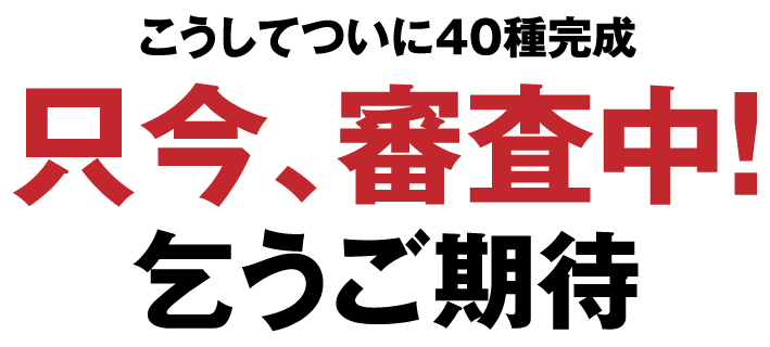 こうしてついに40種完成、只今、審査中！乞うご期待